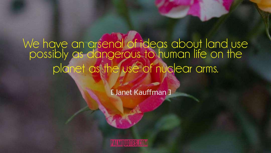 Janet Kauffman Quotes: We have an arsenal of