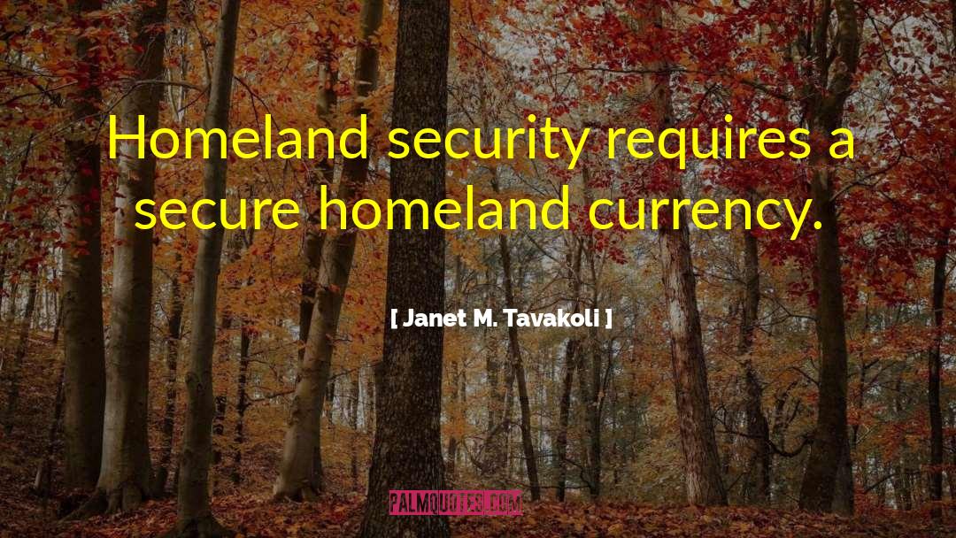 Janet M. Tavakoli Quotes: Homeland security requires a secure