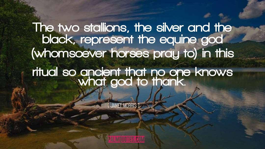 Janet Morris Quotes: The two stallions, the silver