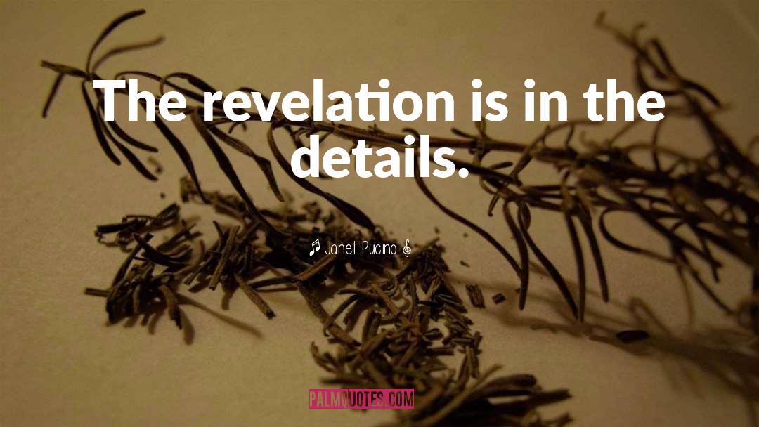 Janet Pucino Quotes: The revelation is in the