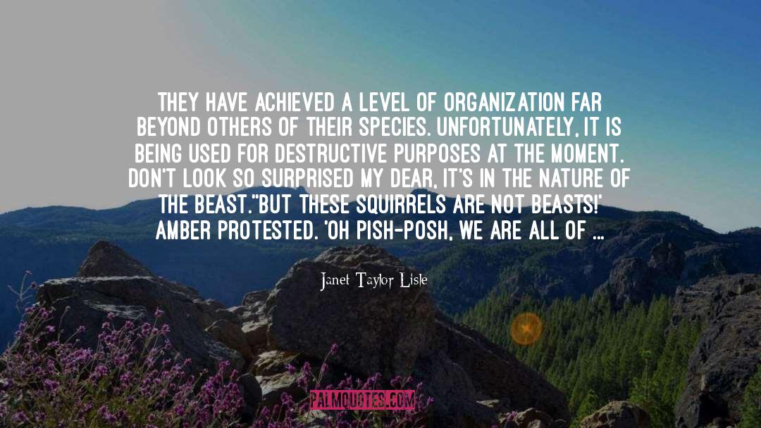 Janet Taylor Lisle Quotes: They have achieved a level