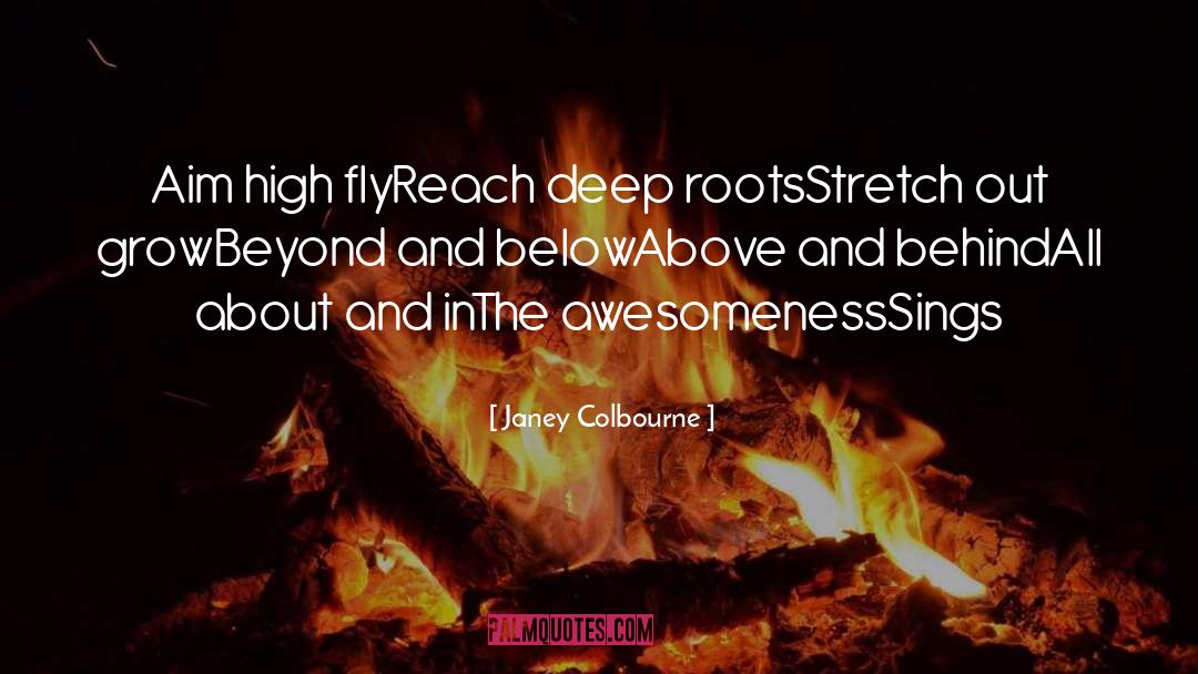 Janey Colbourne Quotes: Aim high fly<br />Reach deep