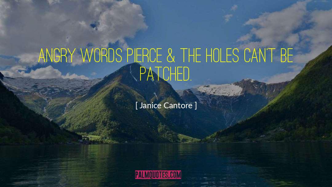 Janice Cantore Quotes: Angry words pierce & the