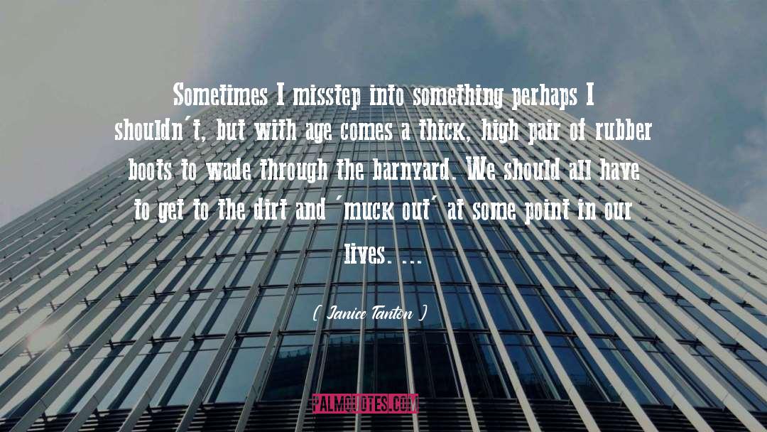 Janice Tanton Quotes: Sometimes I misstep into something