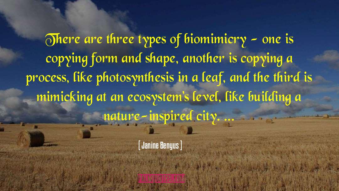 Janine Benyus Quotes: There are three types of