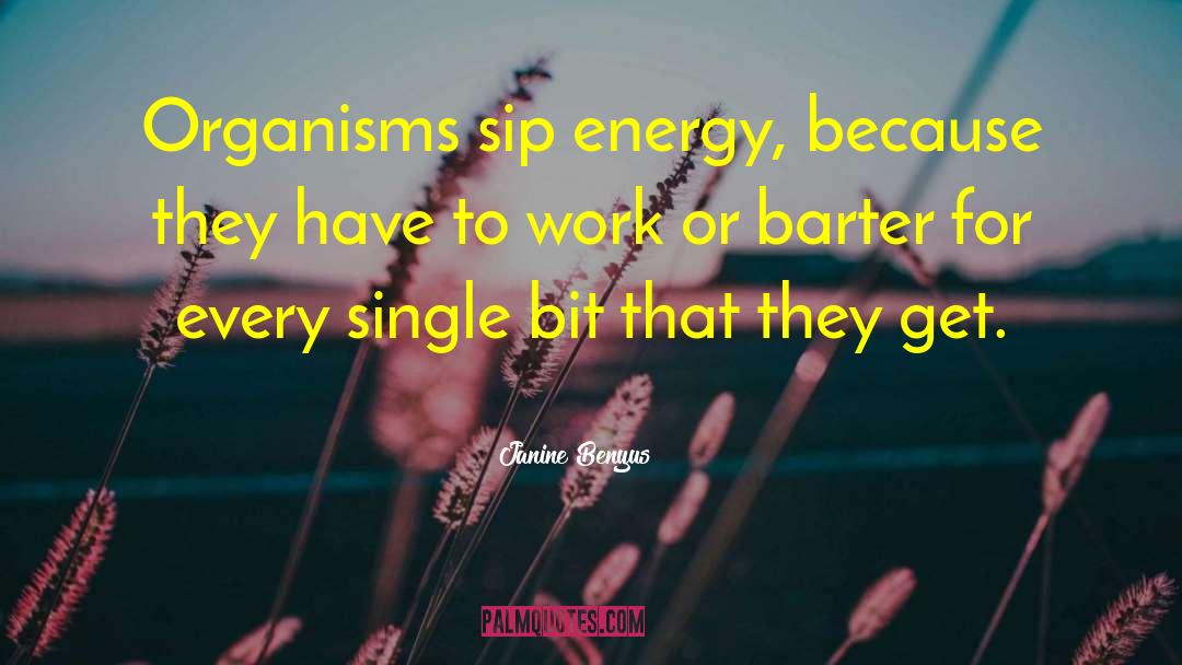 Janine Benyus Quotes: Organisms sip energy, because they