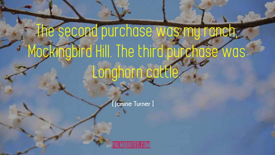 Janine Turner Quotes: The second purchase was my