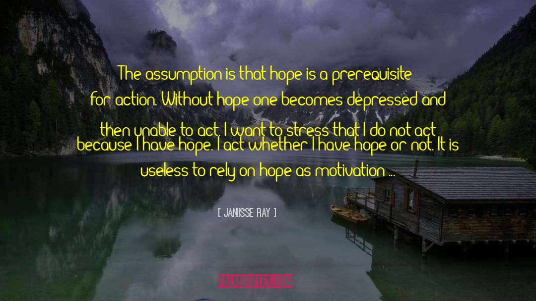Janisse Ray Quotes: The assumption is that hope