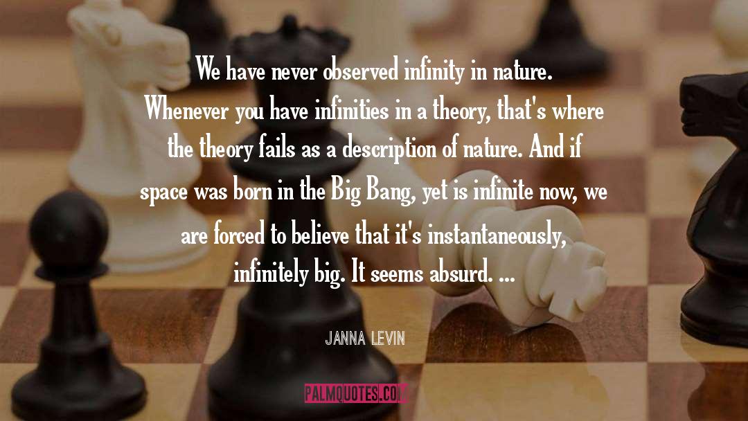 Janna Levin Quotes: We have never observed infinity
