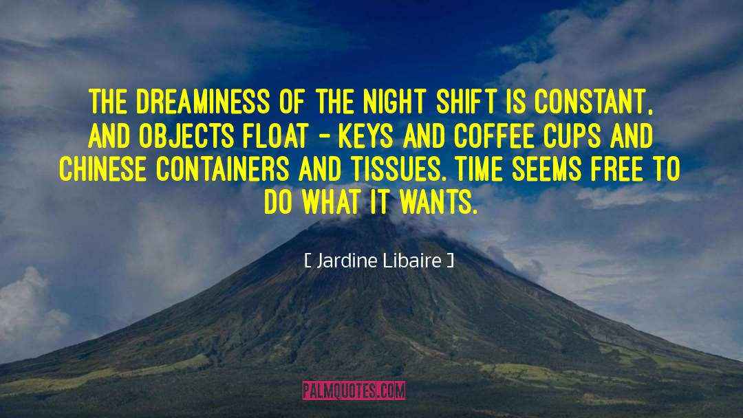 Jardine Libaire Quotes: The dreaminess of the night
