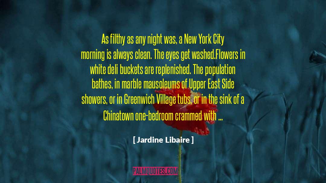 Jardine Libaire Quotes: As filthy as any night