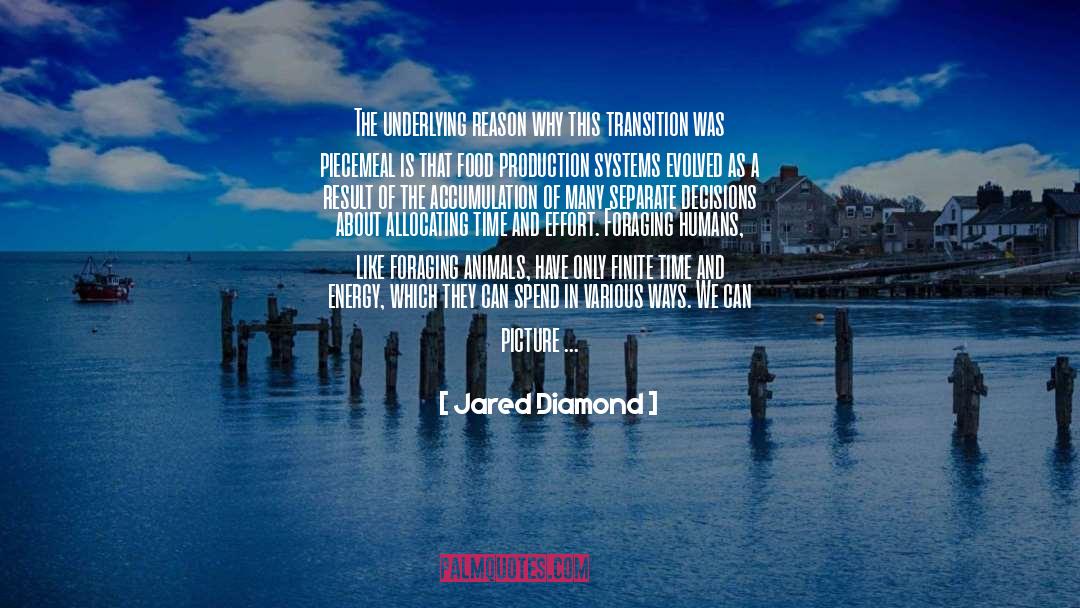 Jared Diamond Quotes: The underlying reason why this