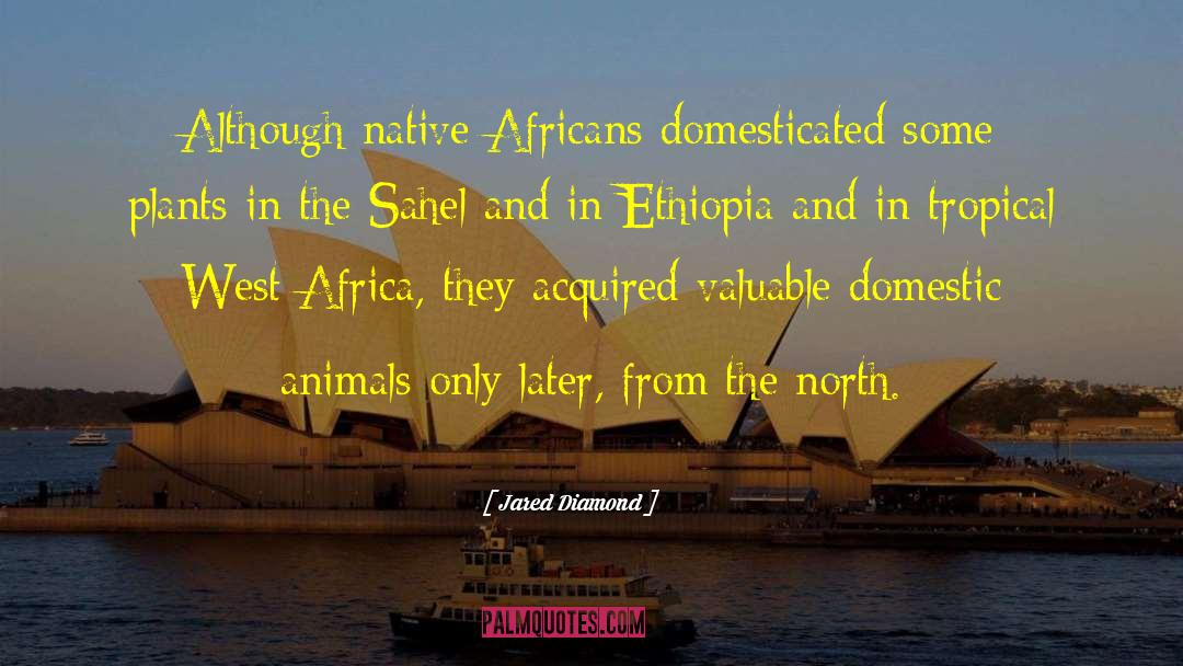 Jared Diamond Quotes: Although native Africans domesticated some