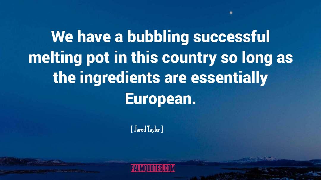 Jared Taylor Quotes: We have a bubbling successful
