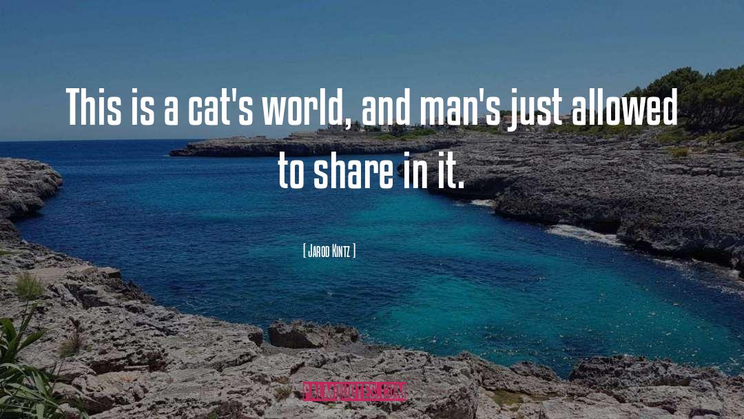 Jarod Kintz Quotes: This is a cat's world,