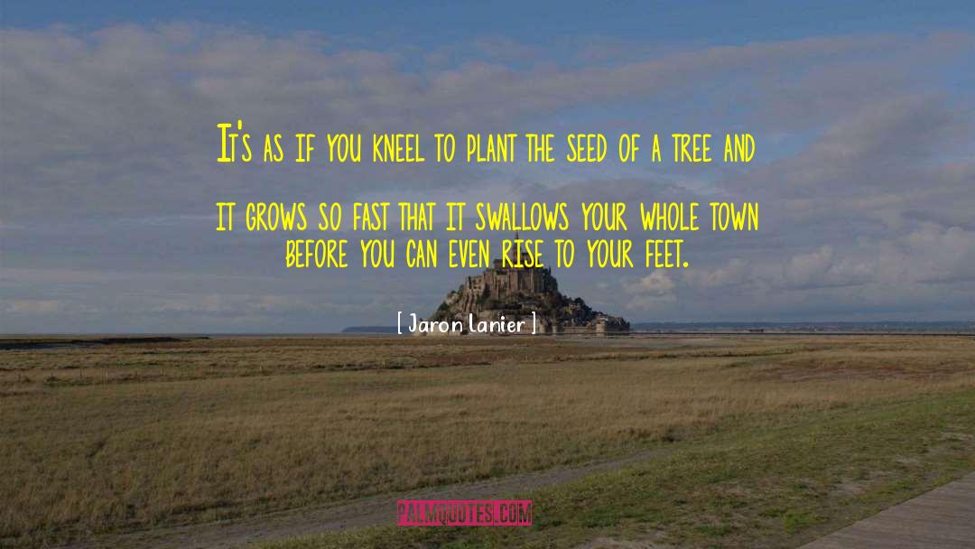 Jaron Lanier Quotes: It's as if you kneel
