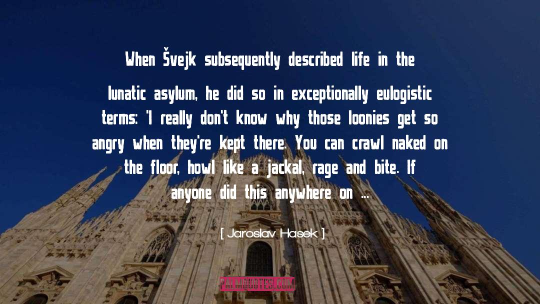 Jaroslav Hasek Quotes: When Švejk subsequently described life