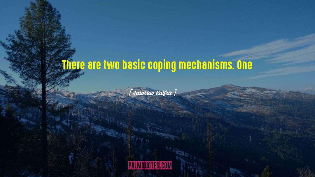 Jaroslav Kalfar Quotes: There are two basic coping