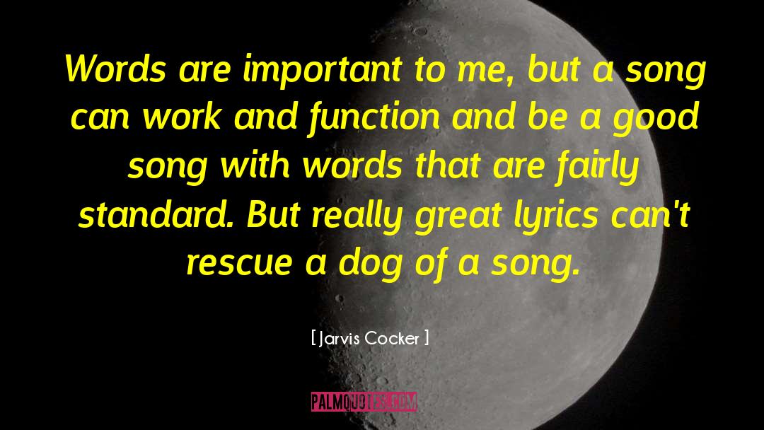 Jarvis Cocker Quotes: Words are important to me,