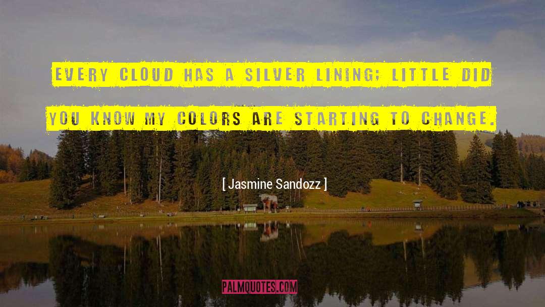 Jasmine Sandozz Quotes: Every cloud has a silver