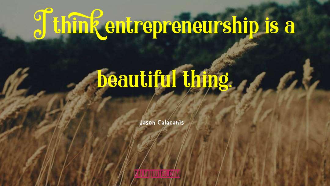 Jason Calacanis Quotes: I think entrepreneurship is a