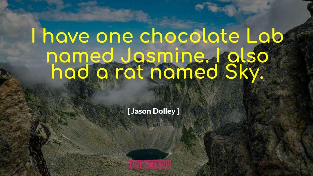 Jason Dolley Quotes: I have one chocolate Lab