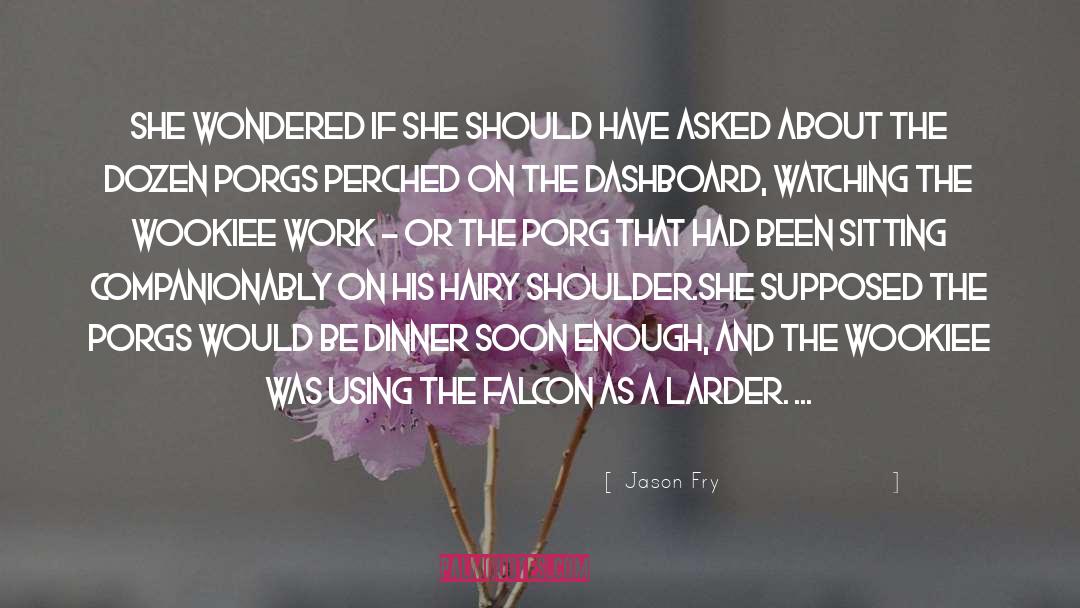 Jason Fry Quotes: She wondered if she should