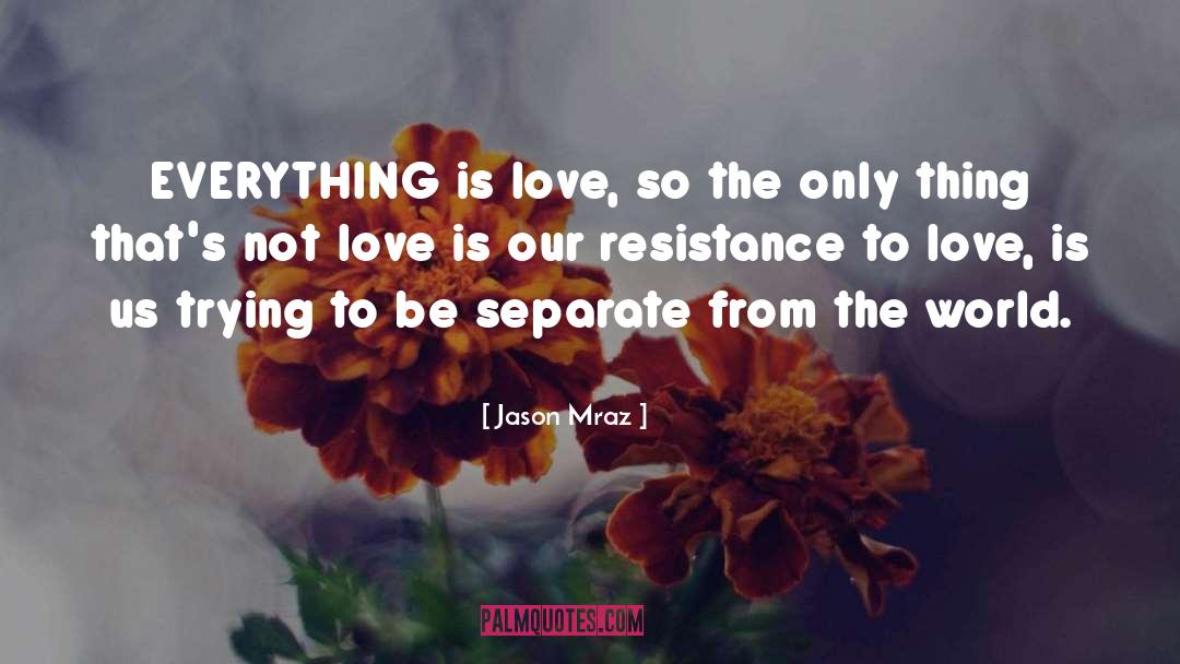 Jason Mraz Quotes: EVERYTHING is love, so the