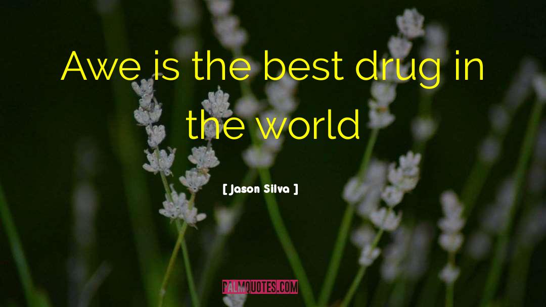 Jason Silva Quotes: Awe is the best drug