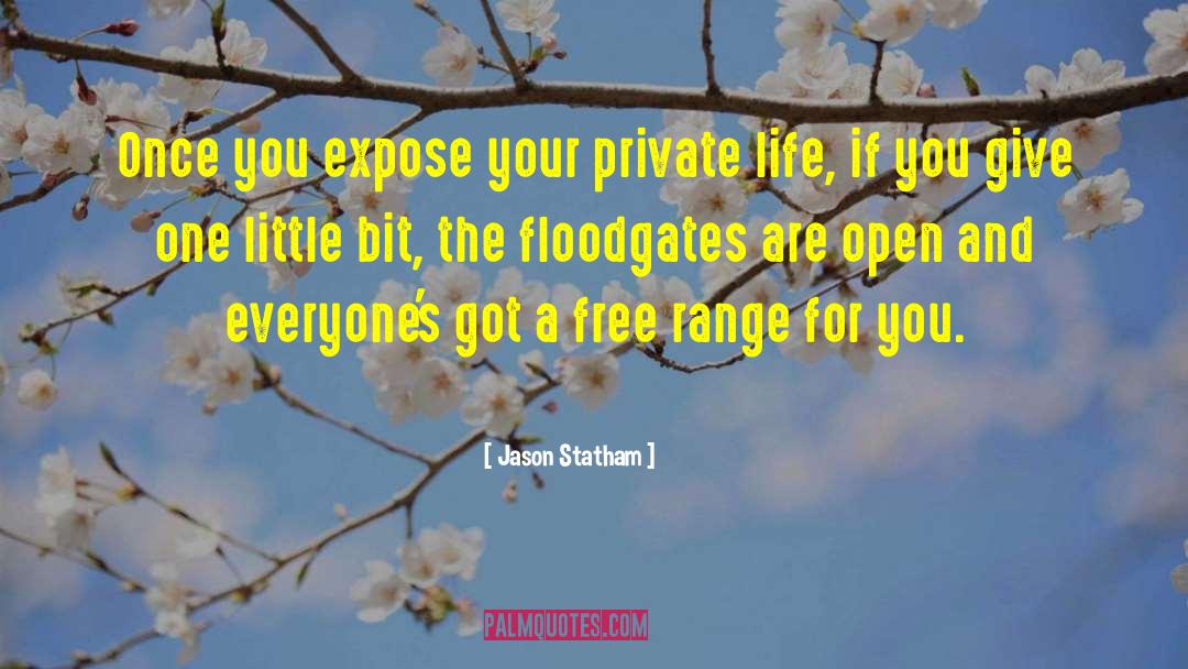 Jason Statham Quotes: Once you expose your private