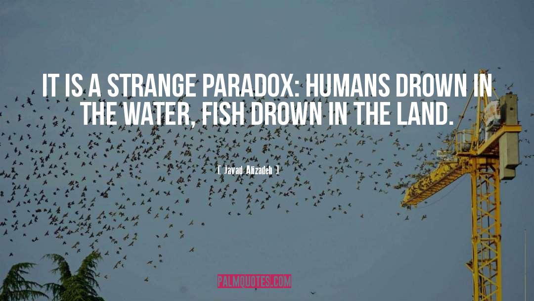 Javad Alizadeh Quotes: It is a strange paradox: