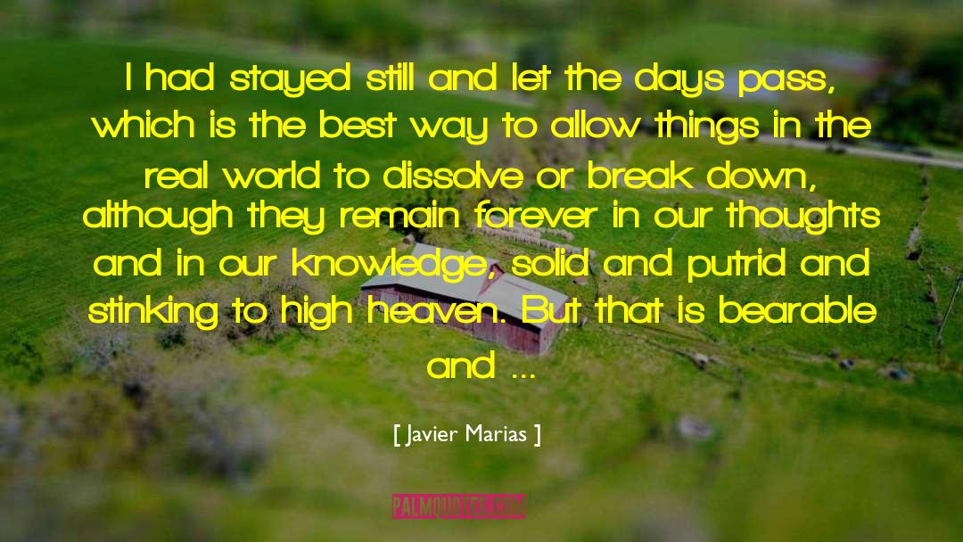 Javier Marias Quotes: I had stayed still and