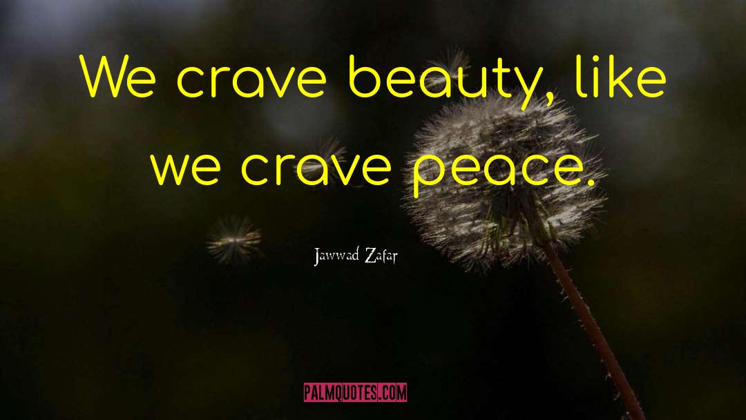 Jawwad Zafar Quotes: We crave beauty, like we