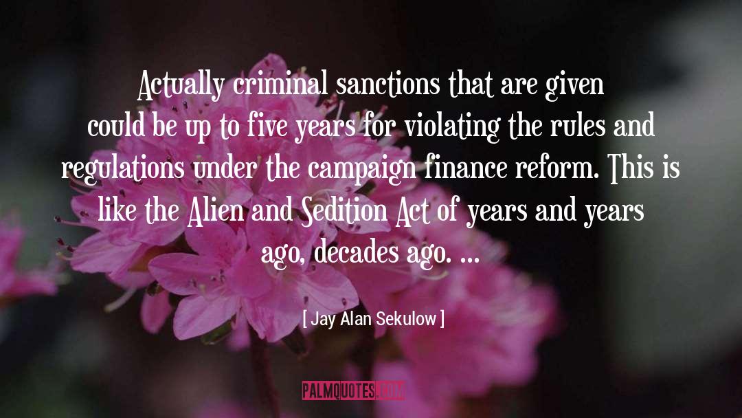 Jay Alan Sekulow Quotes: Actually criminal sanctions that are