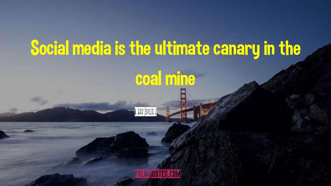 Jay Baer Quotes: Social media is the ultimate