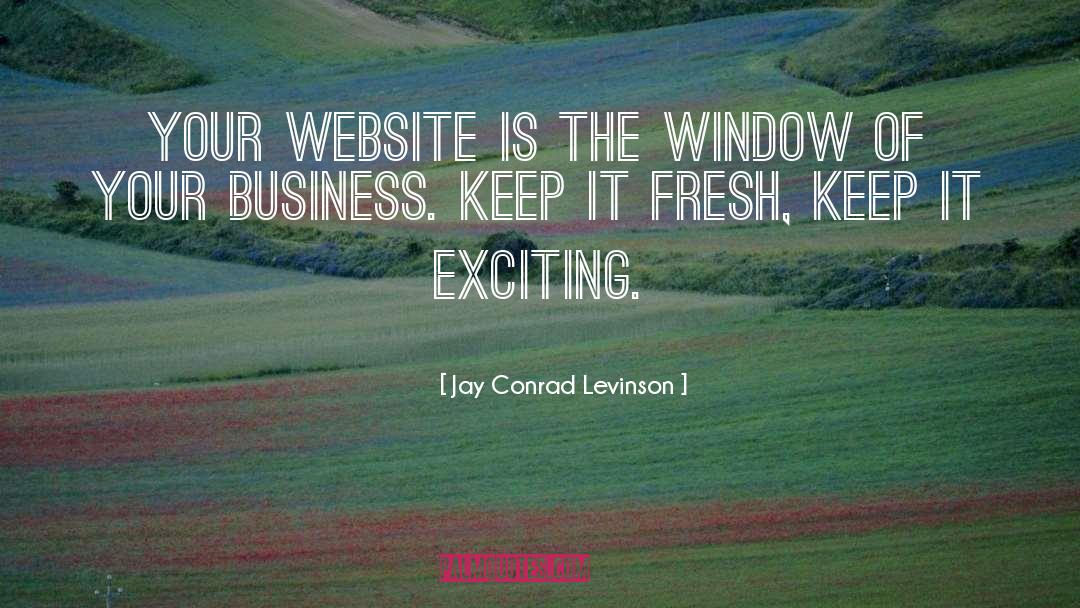 Jay Conrad Levinson Quotes: Your website is the window