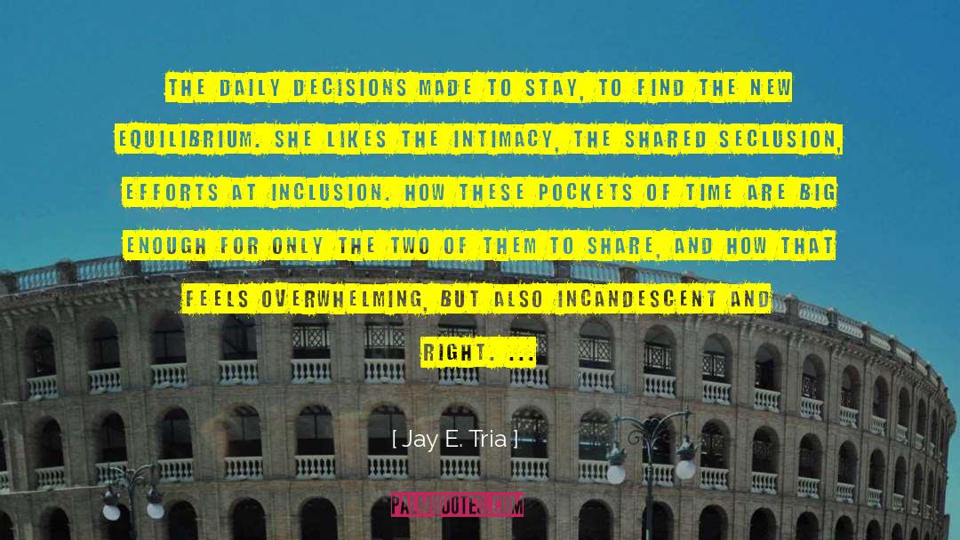 Jay E. Tria Quotes: The daily decisions made to