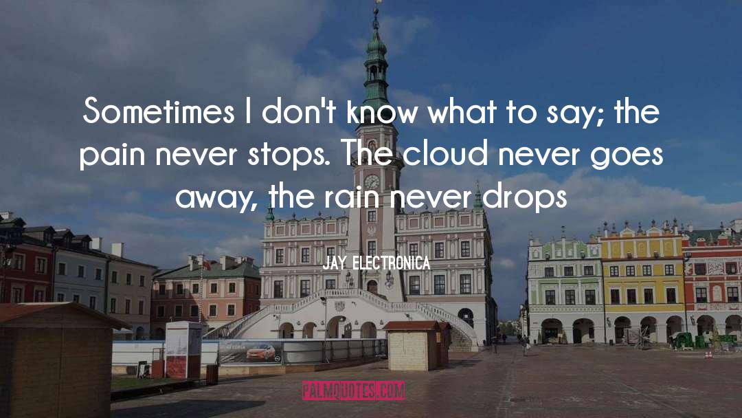 Jay Electronica Quotes: Sometimes I don't know what