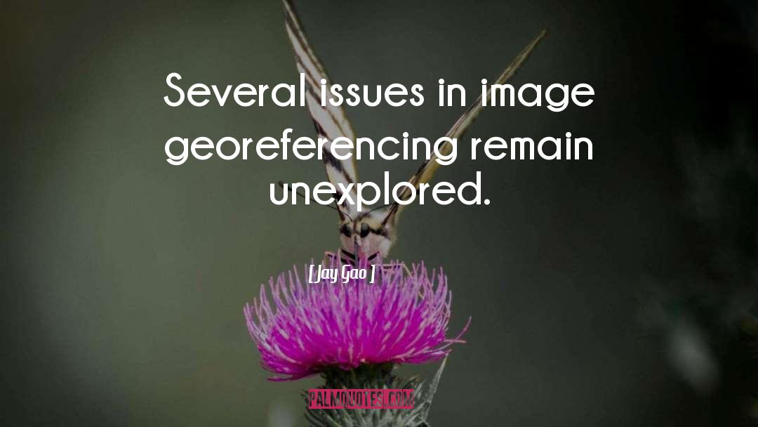 Jay Gao Quotes: Several issues in image georeferencing