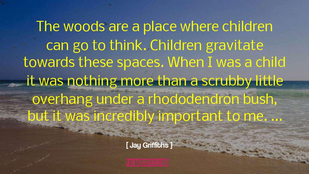 Jay Griffiths Quotes: The woods are a place