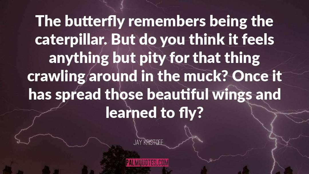 Jay Kristoff Quotes: The butterfly remembers being the