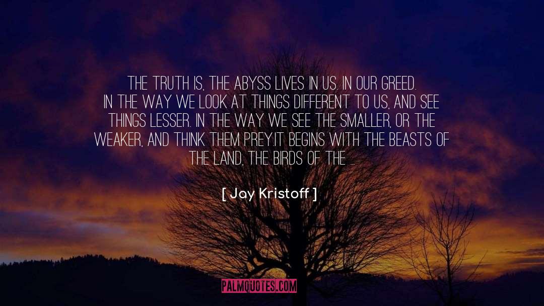 Jay Kristoff Quotes: The truth is, the abyss