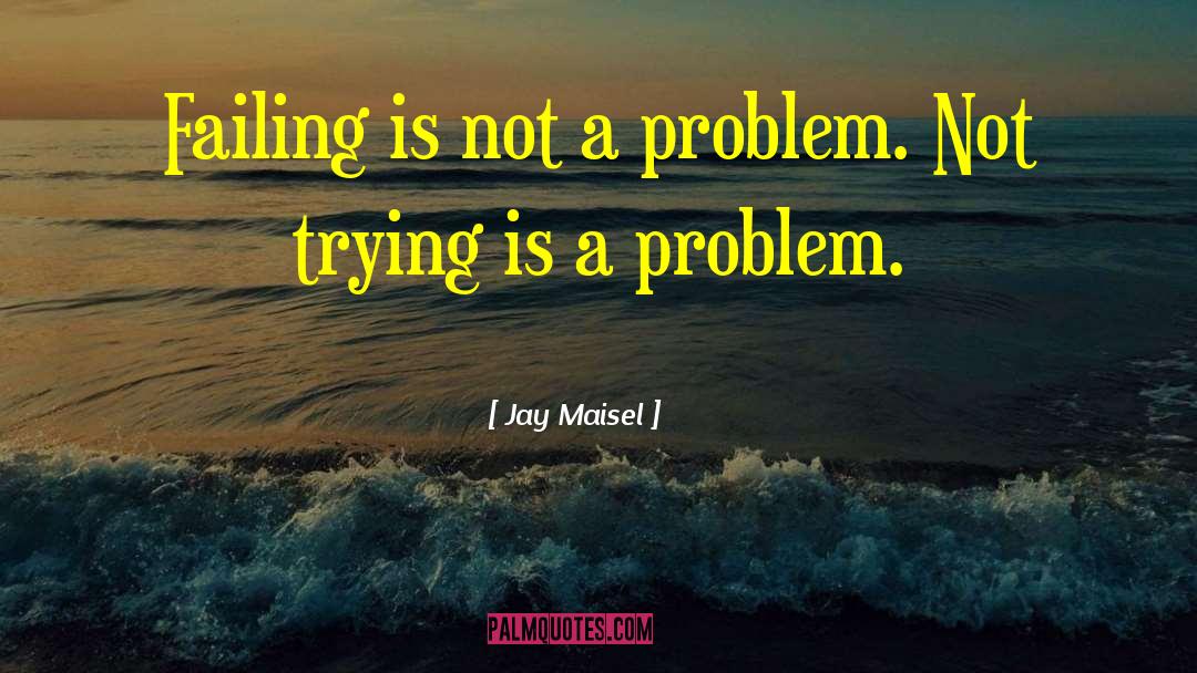 Jay Maisel Quotes: Failing is not a problem.