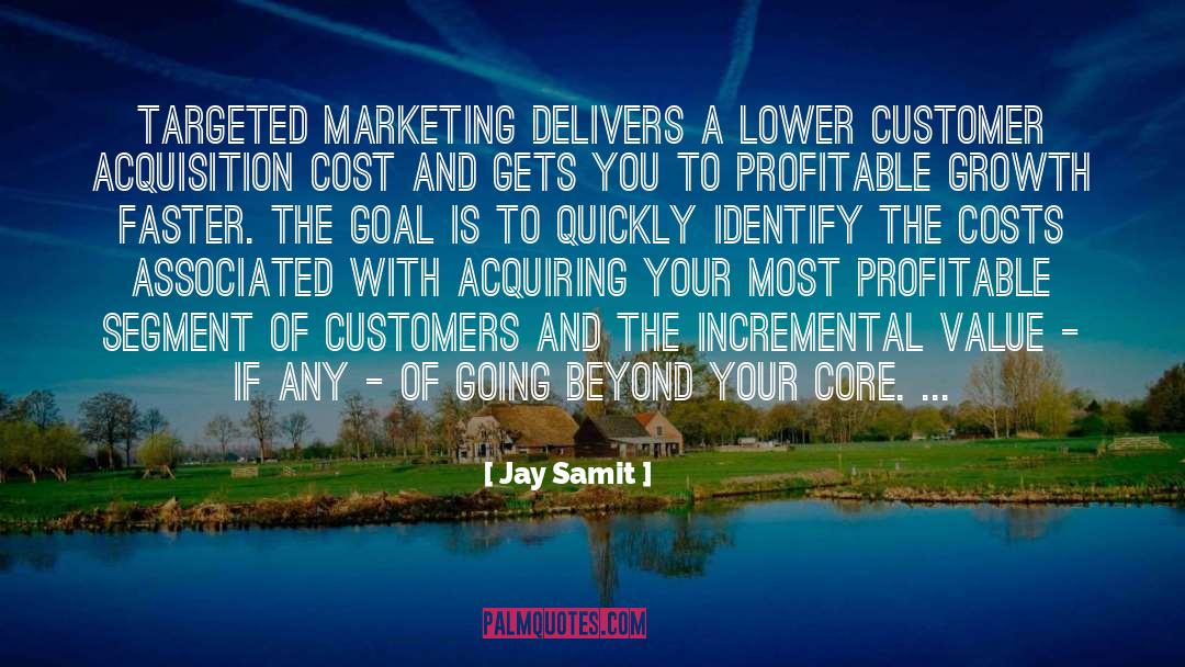 Jay Samit Quotes: Targeted marketing delivers a lower