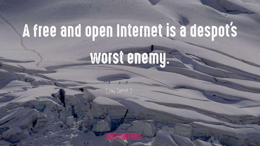 Jay Samit Quotes: A free and open Internet
