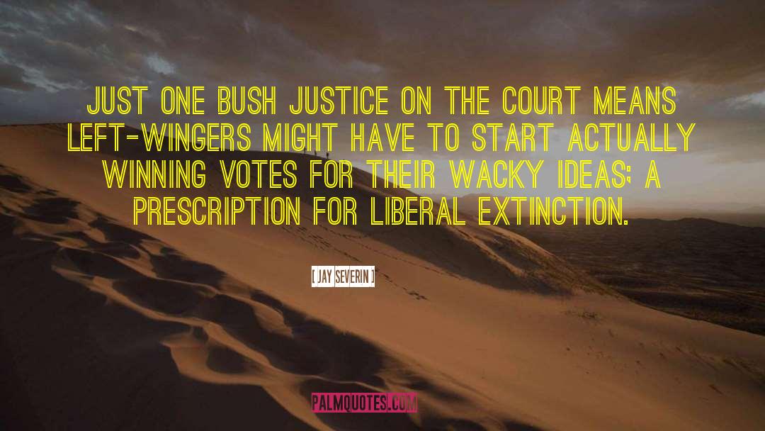 Jay Severin Quotes: Just one Bush justice on