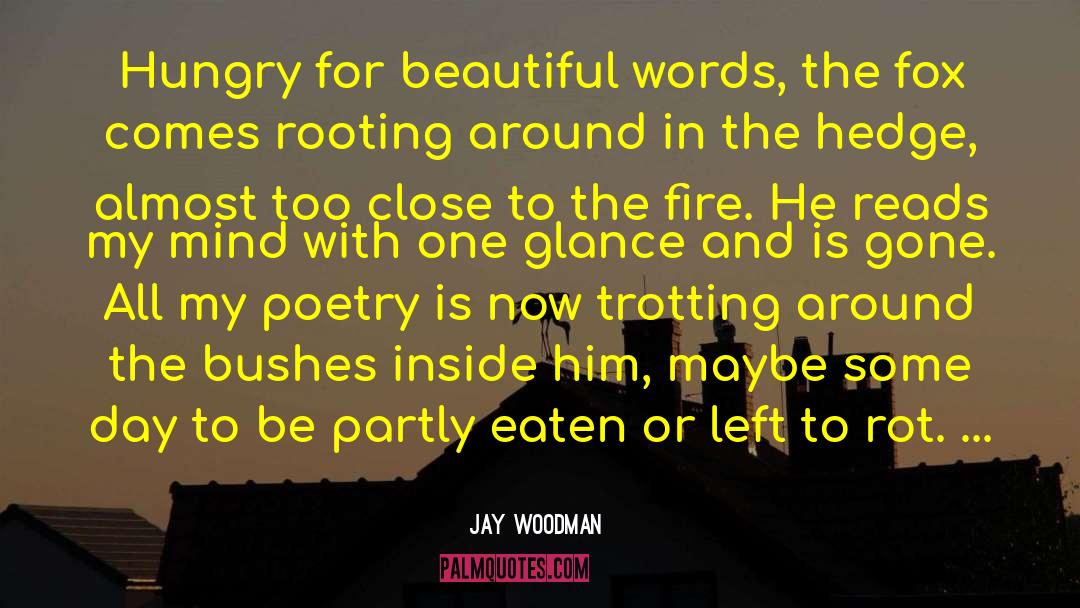 Jay Woodman Quotes: Hungry for beautiful words, the