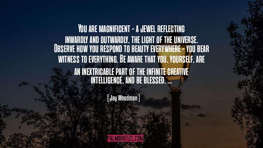 Jay Woodman Quotes: You are magnificent - a