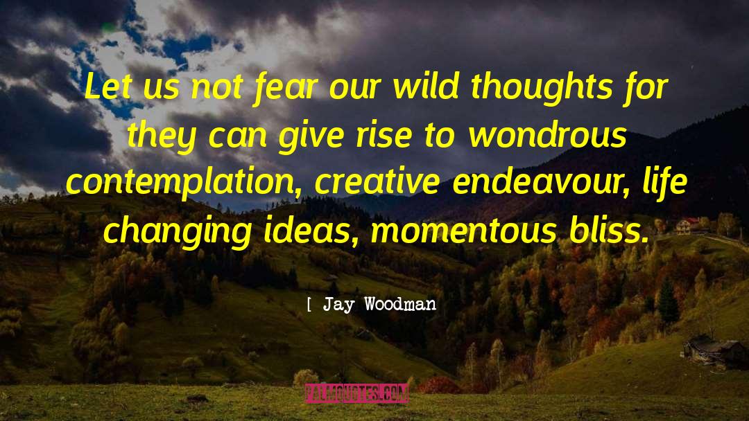 Jay Woodman Quotes: Let us not fear our