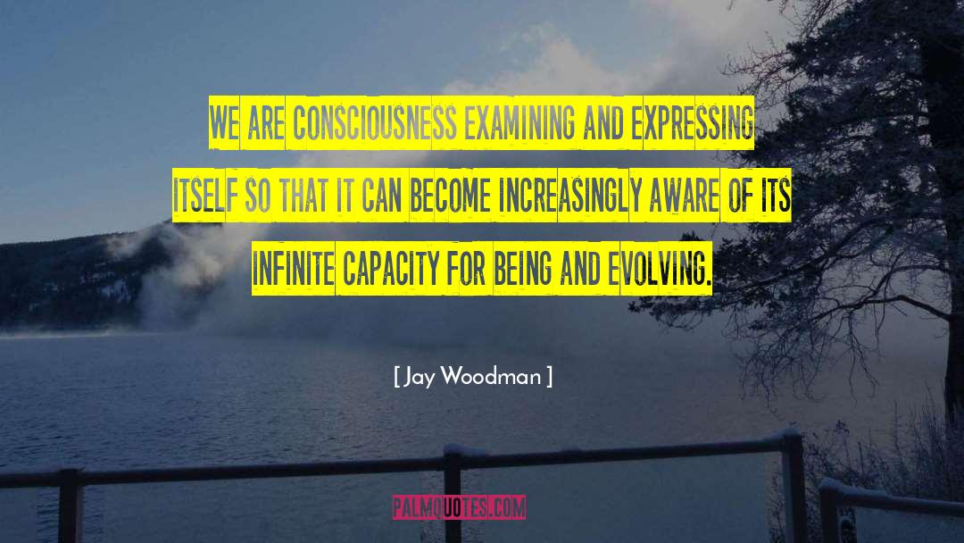 Jay Woodman Quotes: We are consciousness examining and